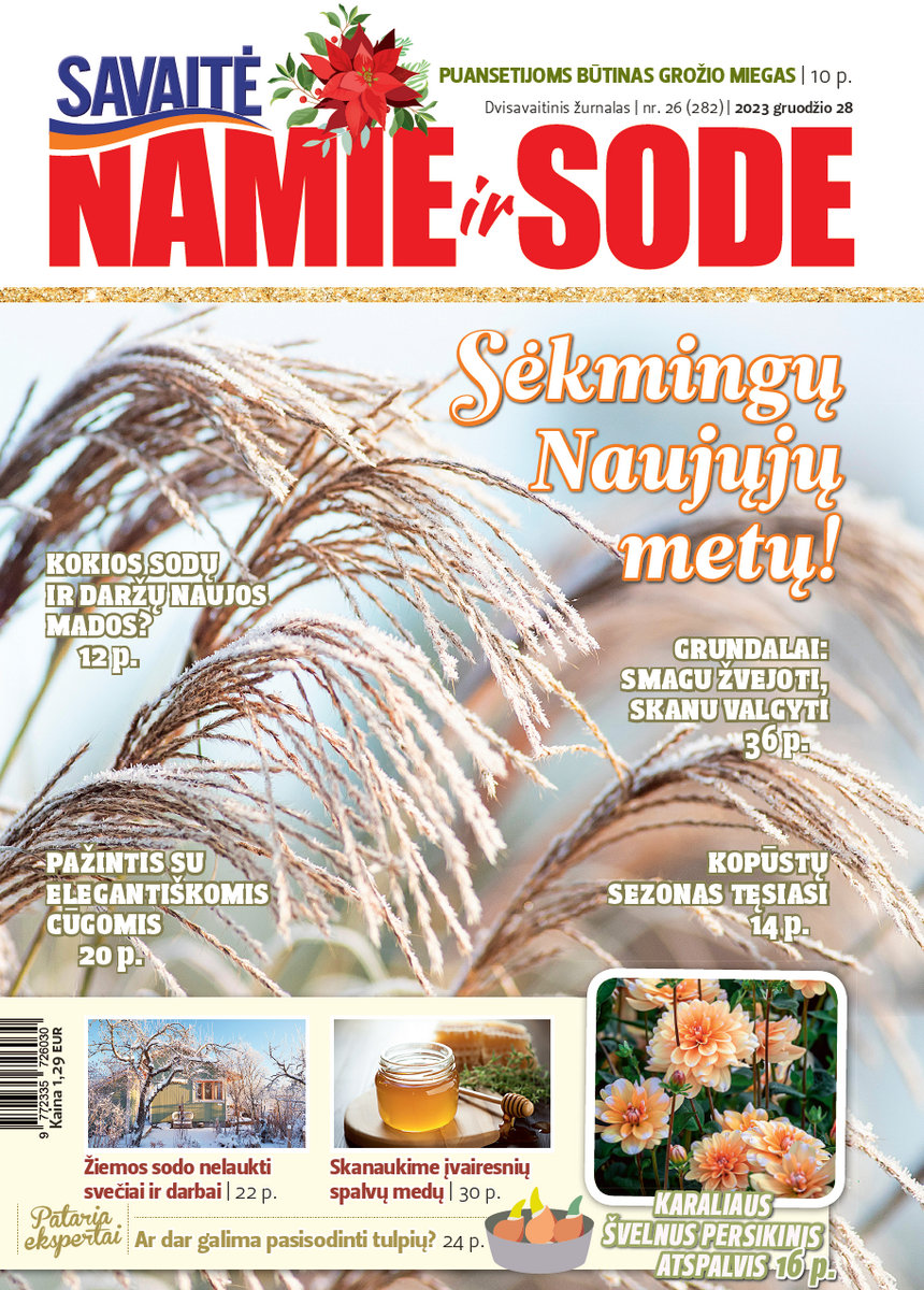 Namie Ir Sode 26 (2023)