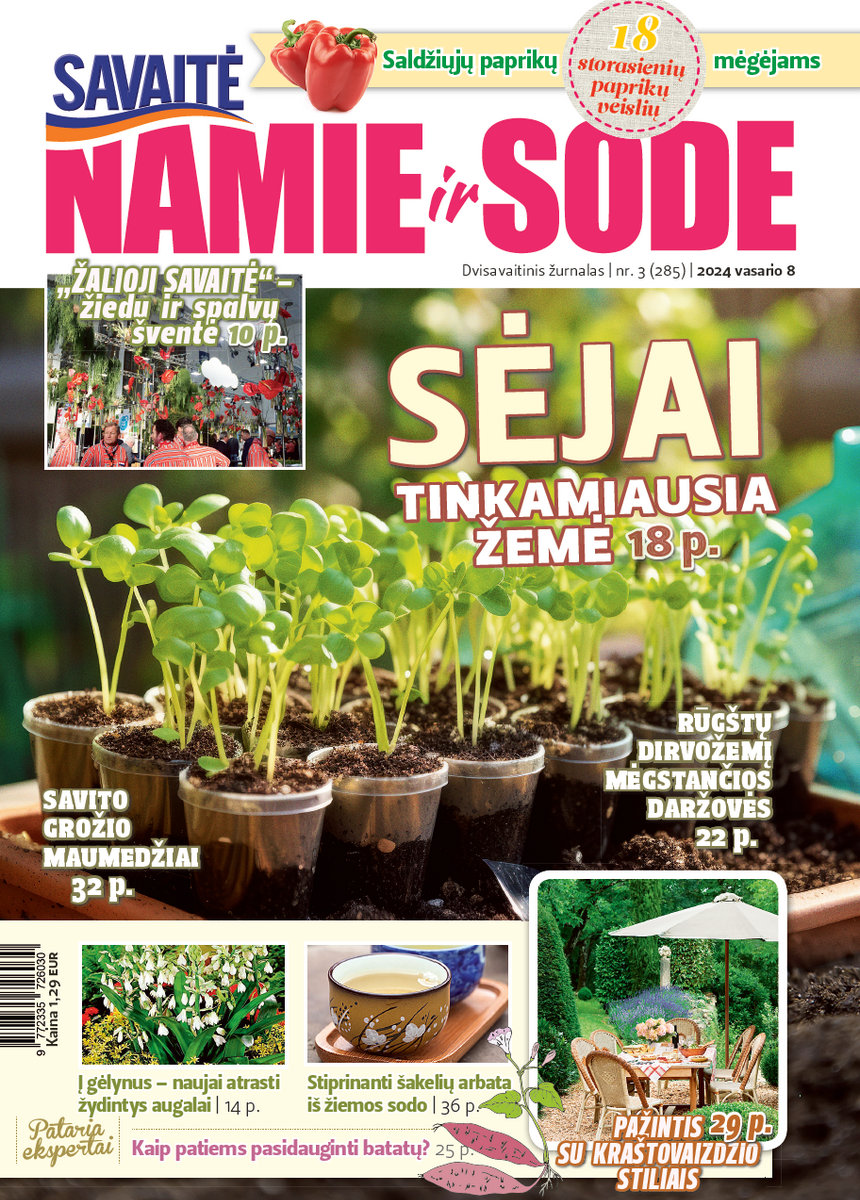 Namie Ir Sode 03 (2024)