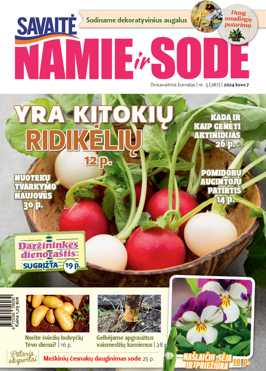 Namie Ir Sode 05 (2024)