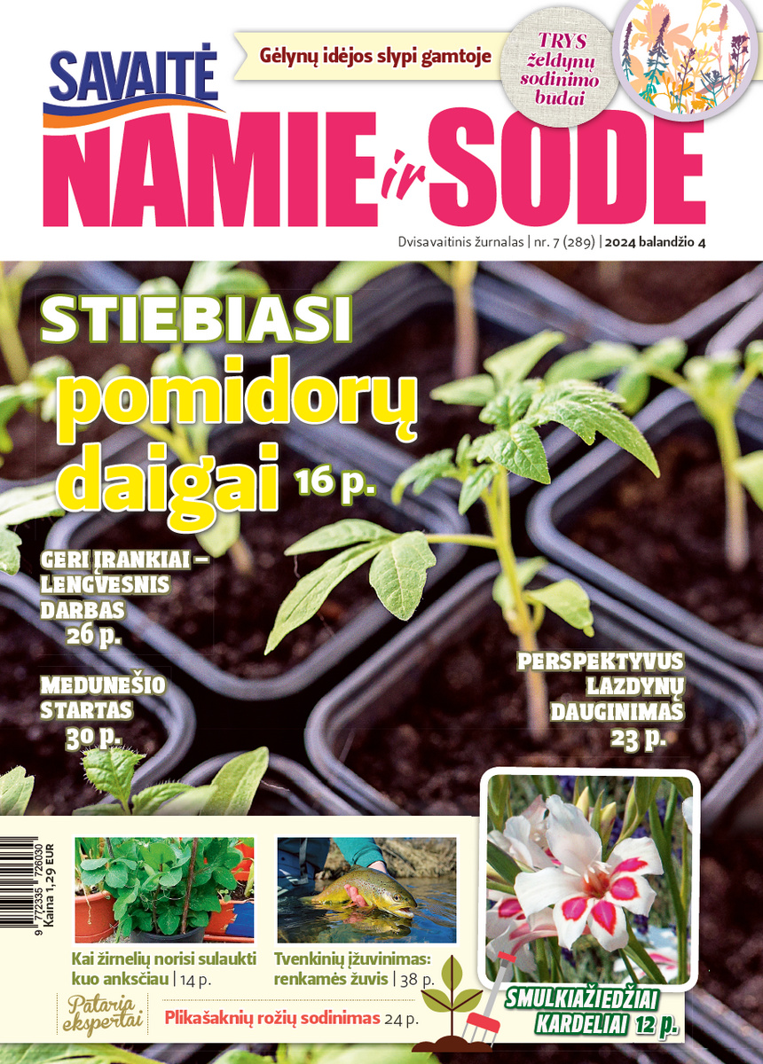 Namie Ir Sode 07 (2024)