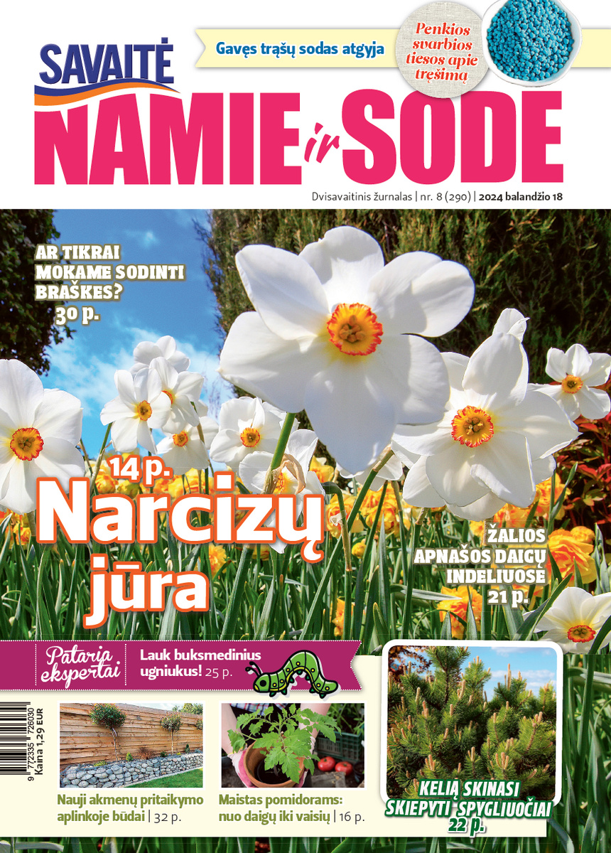 Namie Ir Sode 08 (2024)