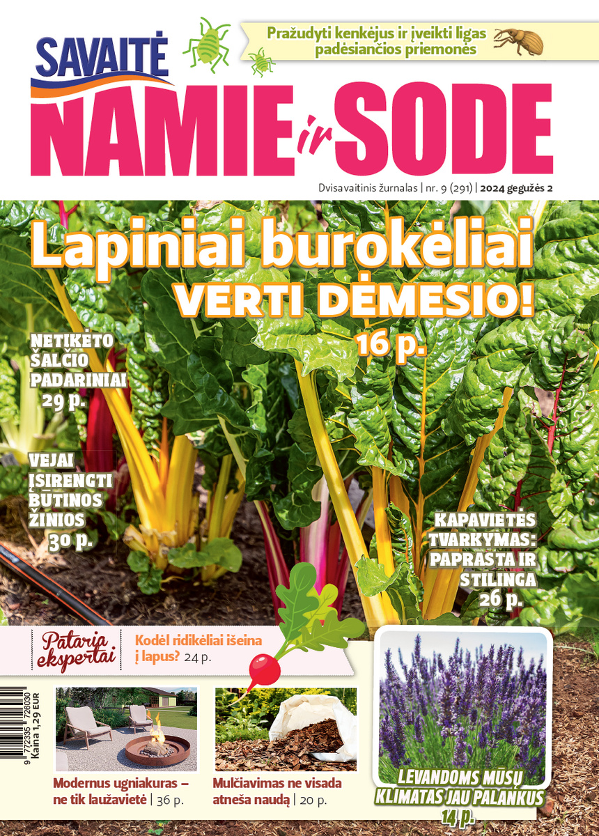 Namie Ir Sode 09 (2024)