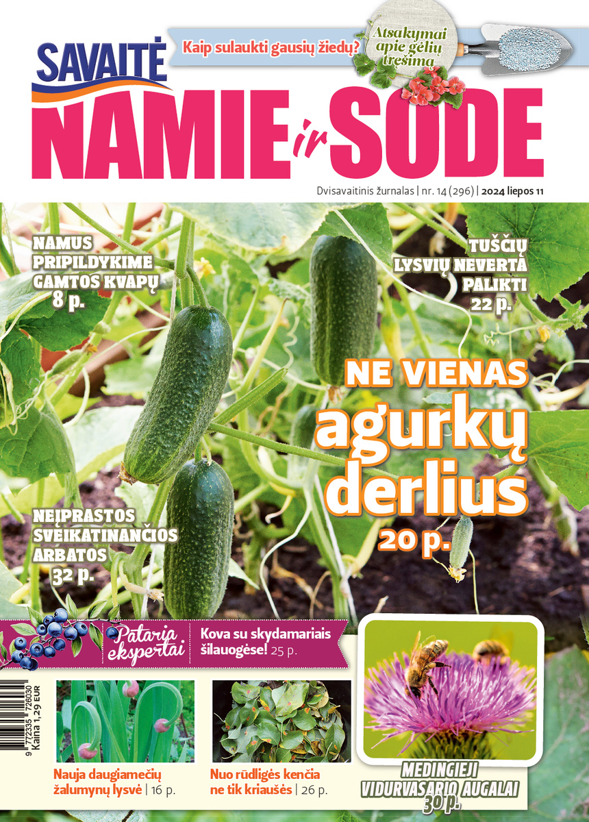 Namie Ir Sode 14 (2024) Namie Ir Sode 14 (2024)