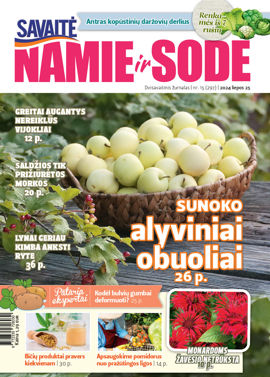 Namie Ir Sode 15 (2024)