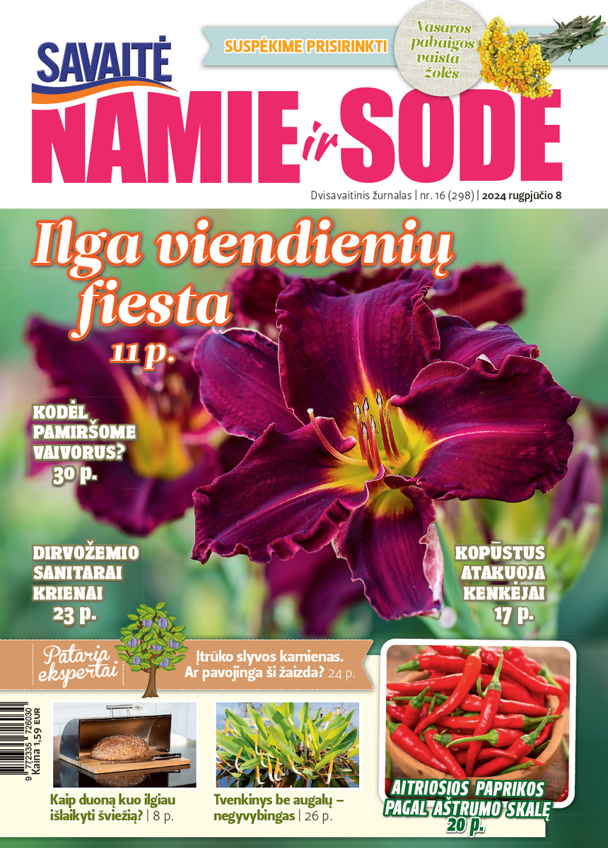 Namie Ir Sode 16 (2024) Namie Ir Sode 16 (2024)