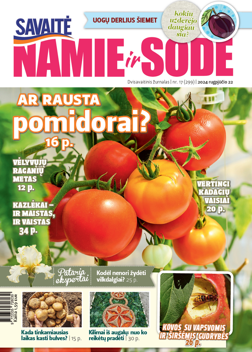 Namie Ir Sode 17 (2024) Namie Ir Sode 17 (2024)