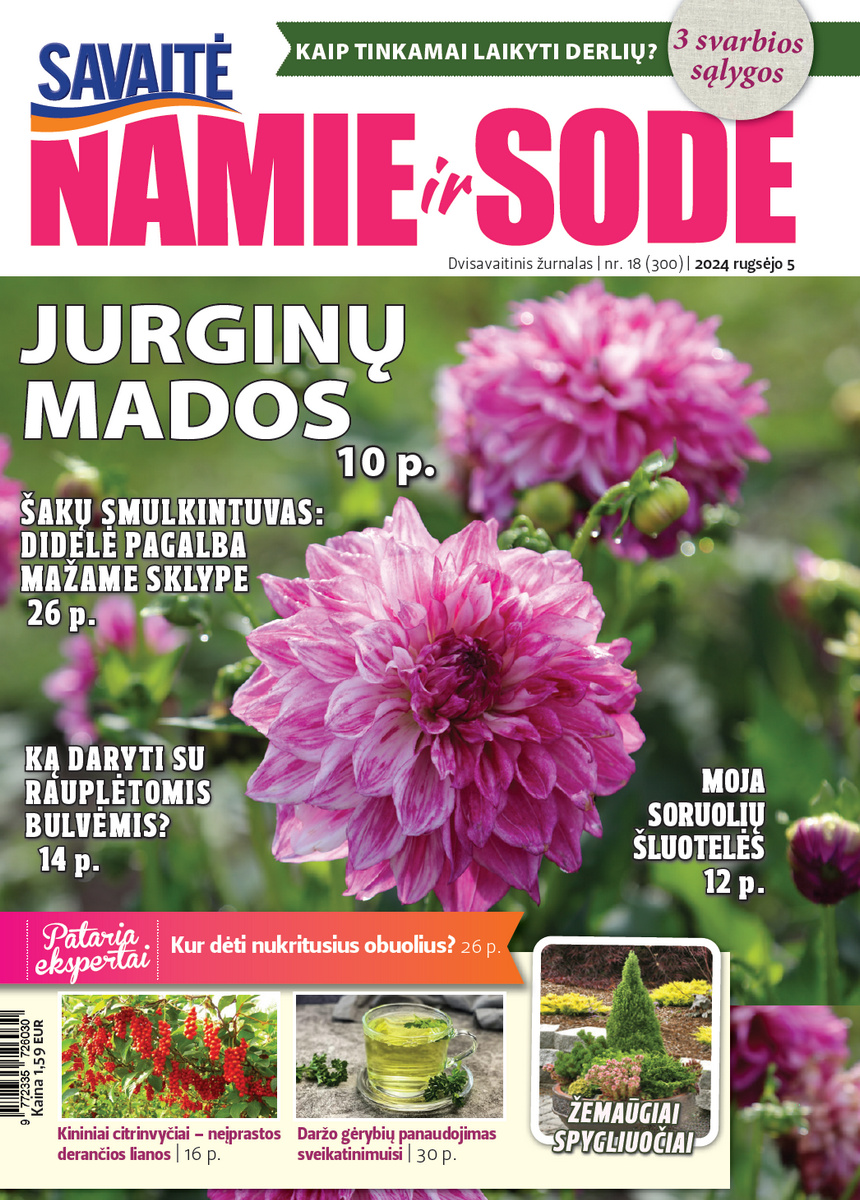 Namie Ir Sode 18 (2024) Namie Ir Sode 18 (2024)