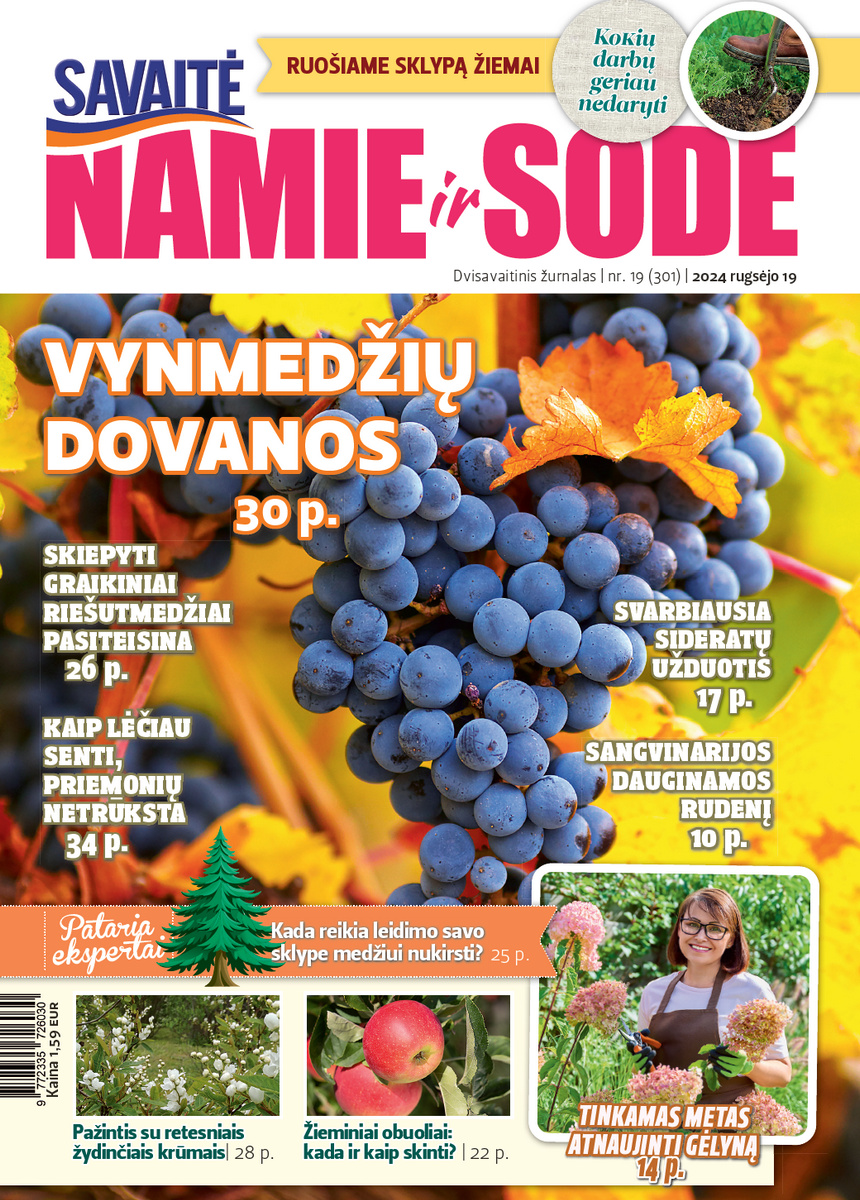 Namie Ir Sode 19 (2024) Namie Ir Sode 19 (2024)