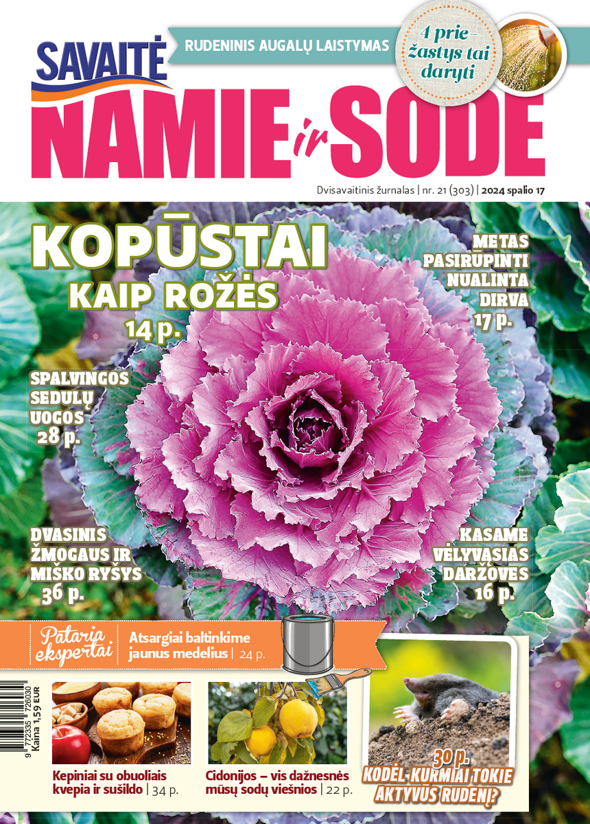 Namie Ir Sode 21 (2024)