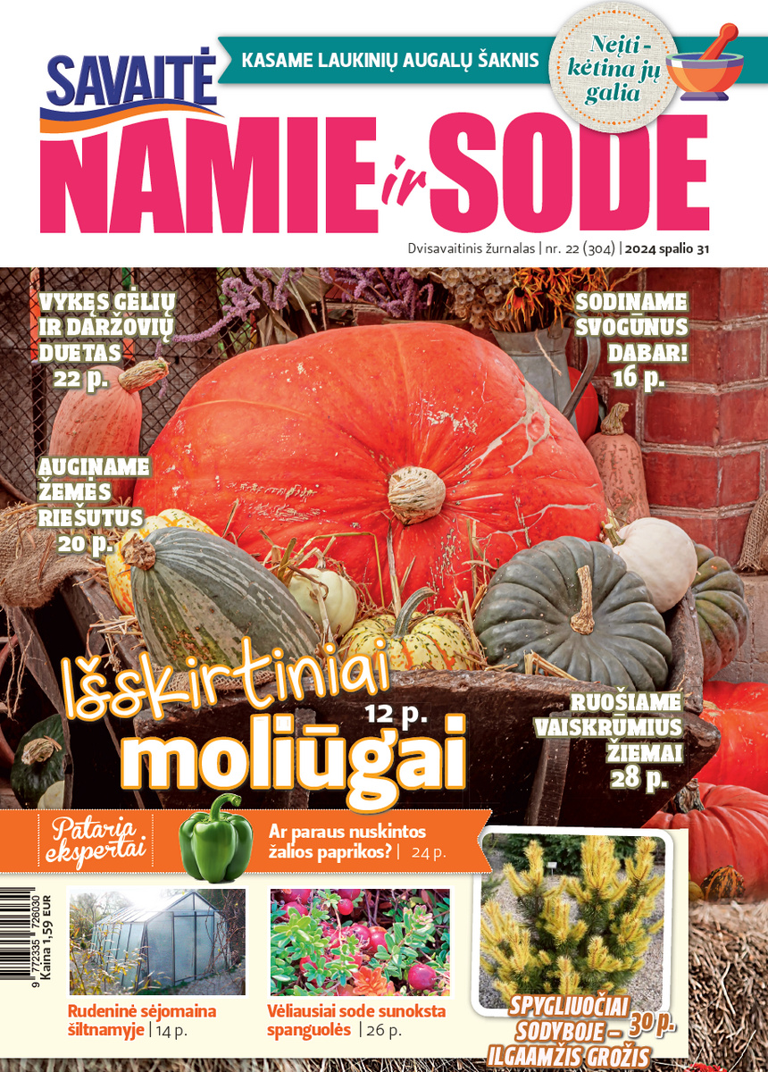 Namie Ir Sode 22 (2024) Namie Ir Sode 22 (2024)