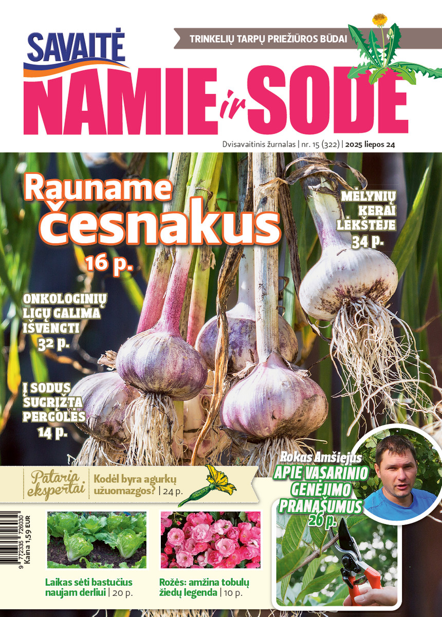 Namie Ir Sode 15 (2025)