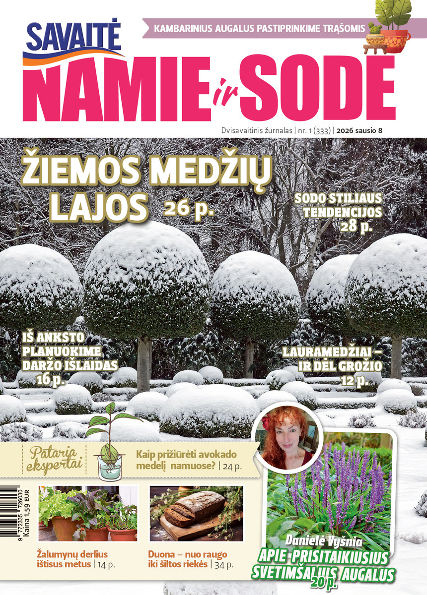 Namie Ir Sode 01 (2026)