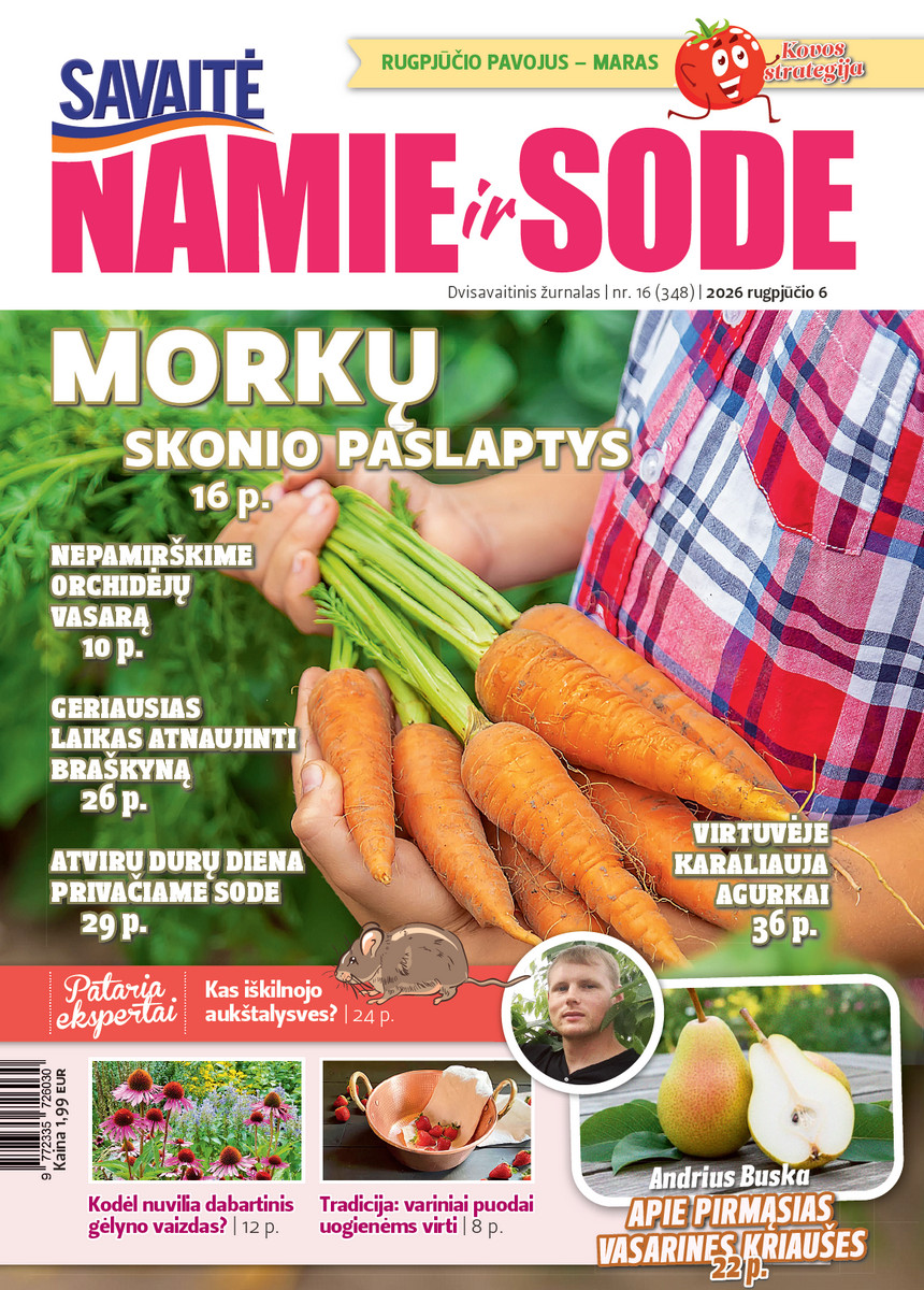 Namie Ir Sode 16 (2026)