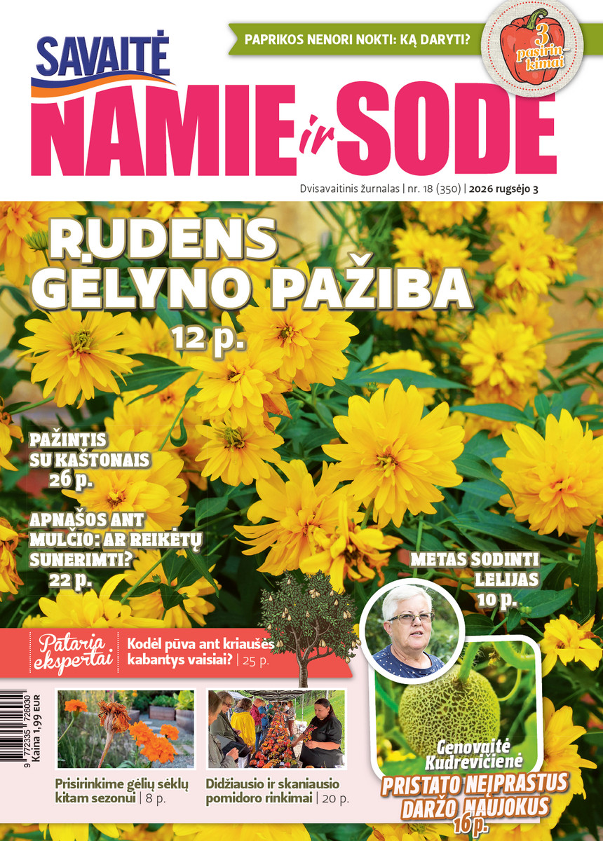 Namie Ir Sode 18 (2026)